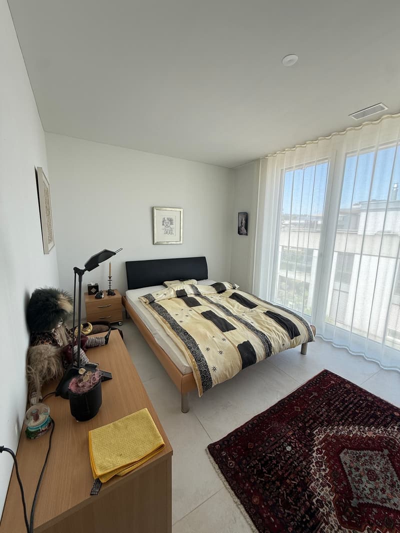 Appartamento moderno 4.5 locali a Reinach BL (12)