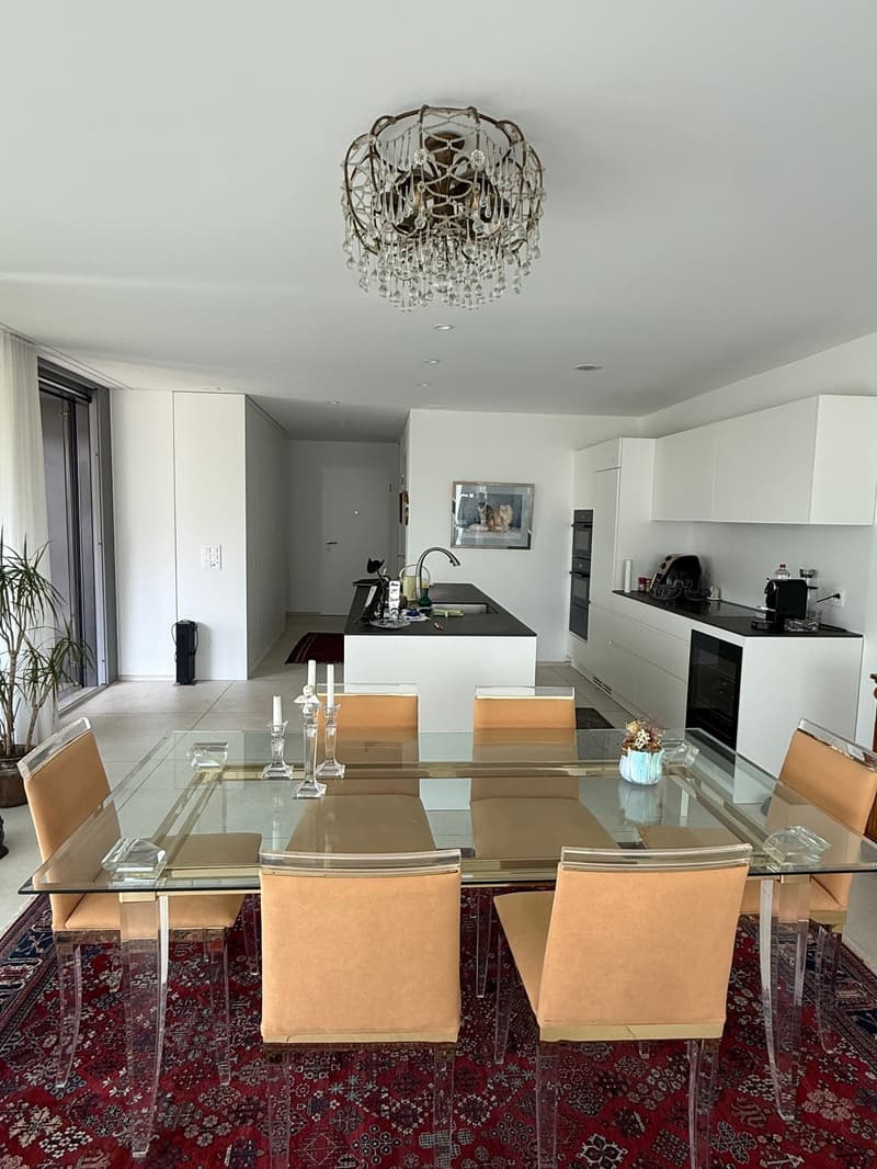 Appartamento moderno 4.5 locali a Reinach BL (6)