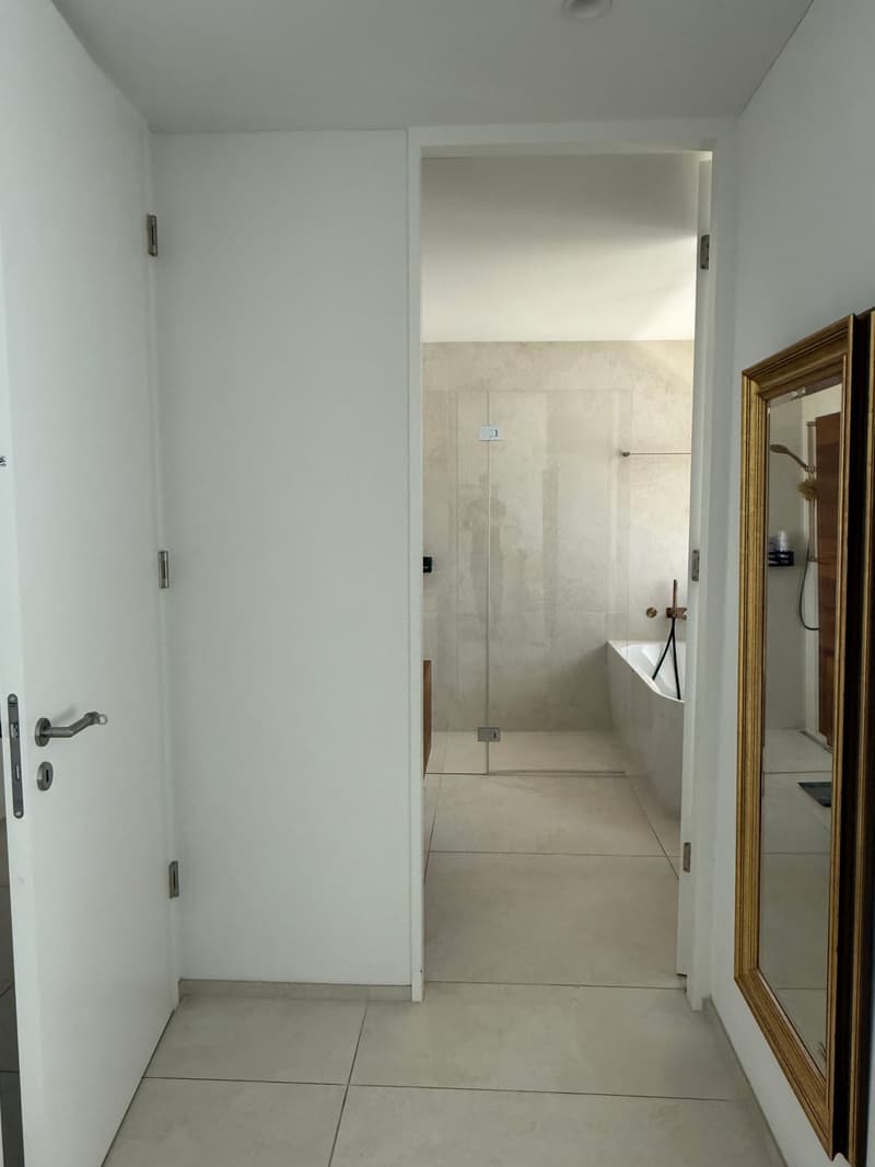 Appartamento moderno 4.5 locali a Reinach BL (17)