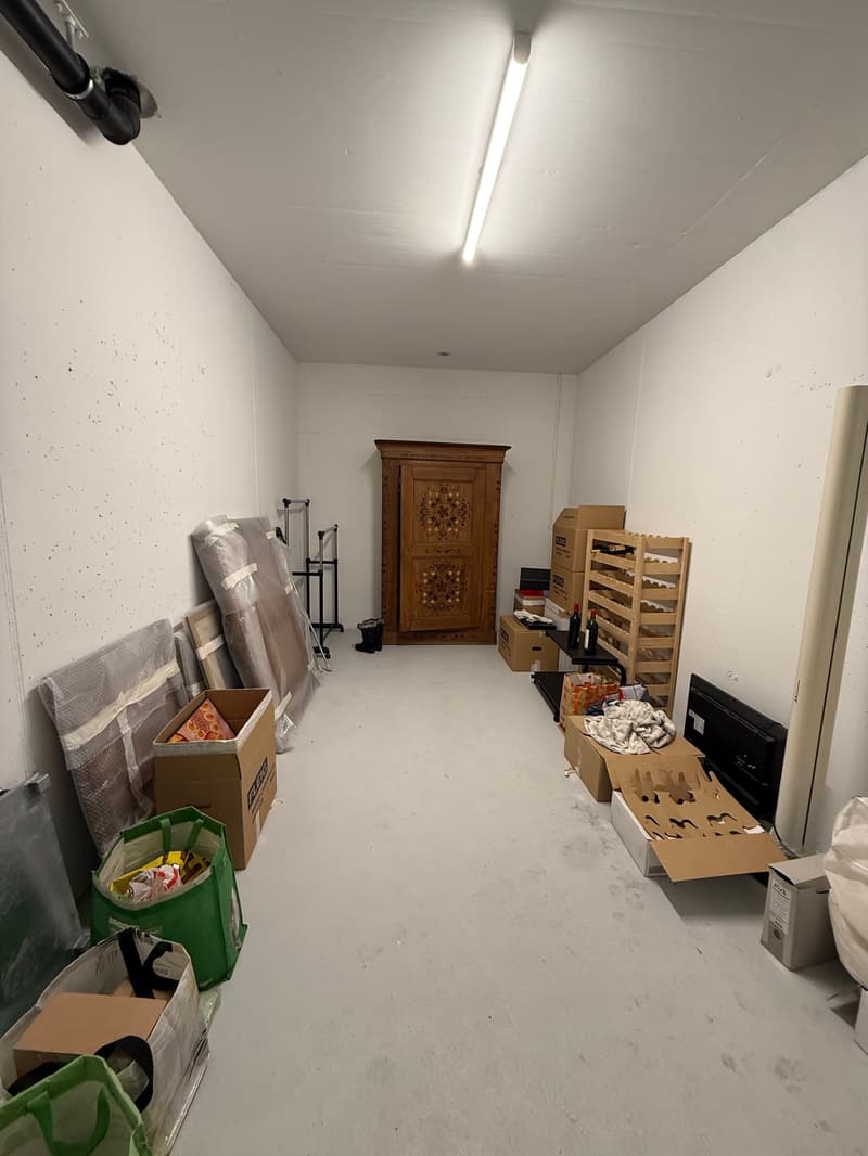 Appartamento moderno 4.5 locali a Reinach BL (26)