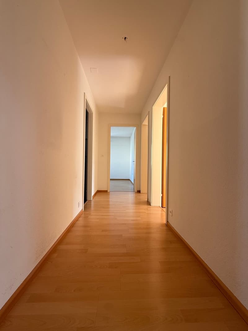 Appartement 4 pièces lumineux avec balcon à Pratteln (15)