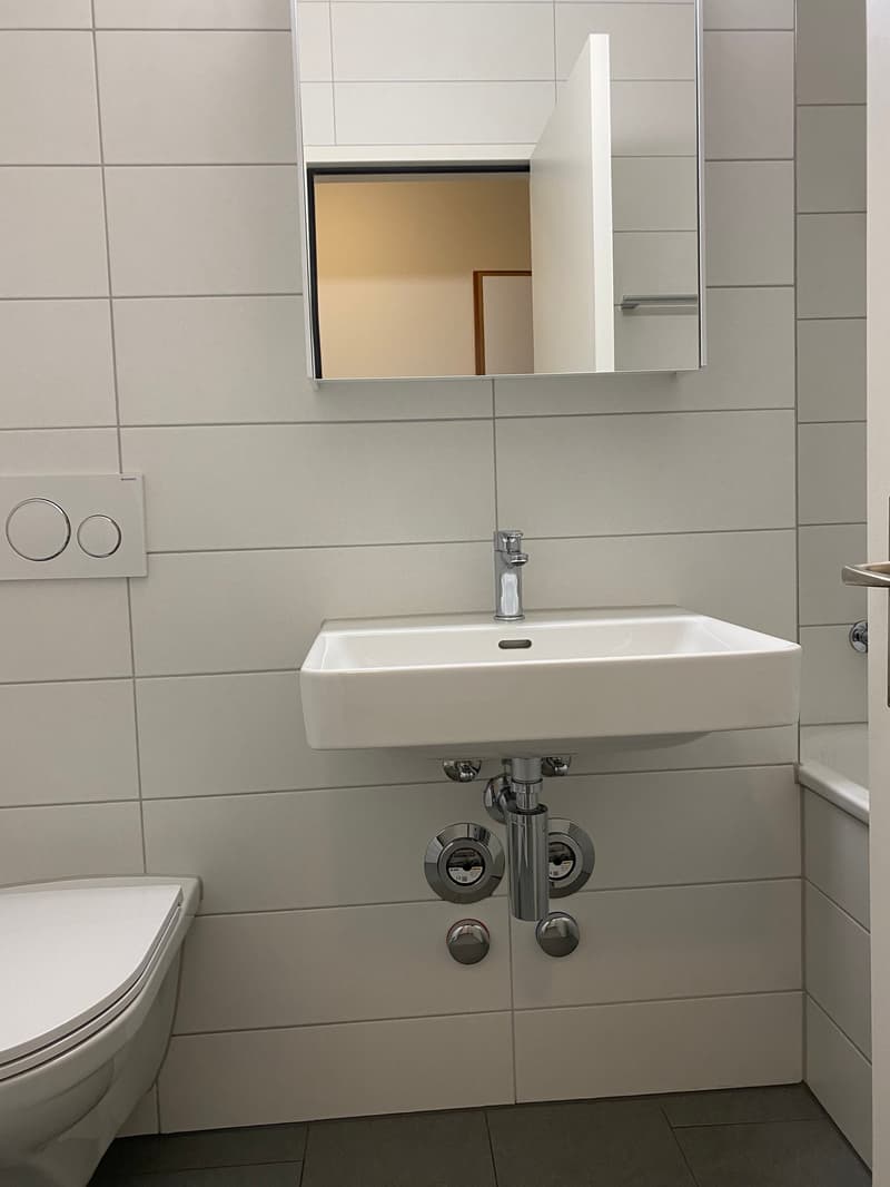 Schöne, 1-Zimmerwohnung in der nähe vom Bahnhof SBB (2)