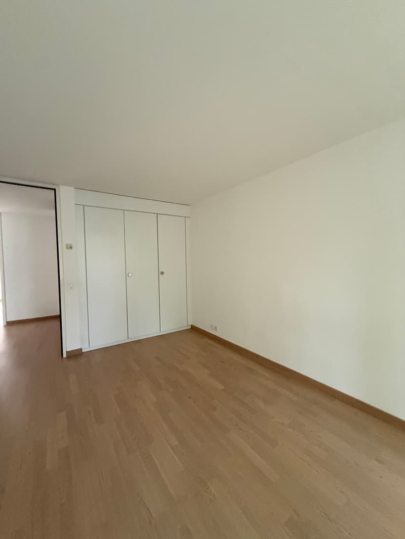 Charmante 4.5-Zimmer-Wohnung im Erdgeschoss in Arlesheim (13)