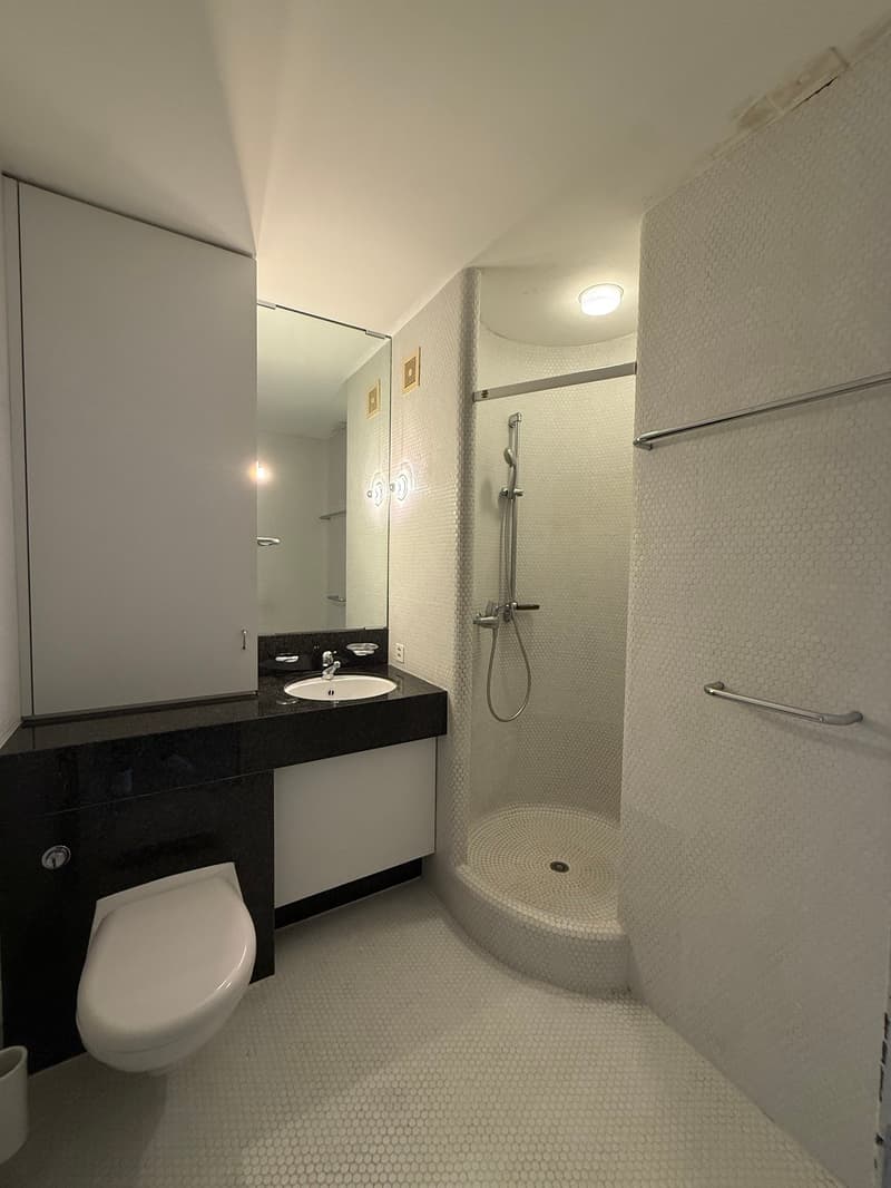 Charmante 4.5-Zimmer-Wohnung im Erdgeschoss in Arlesheim (5)