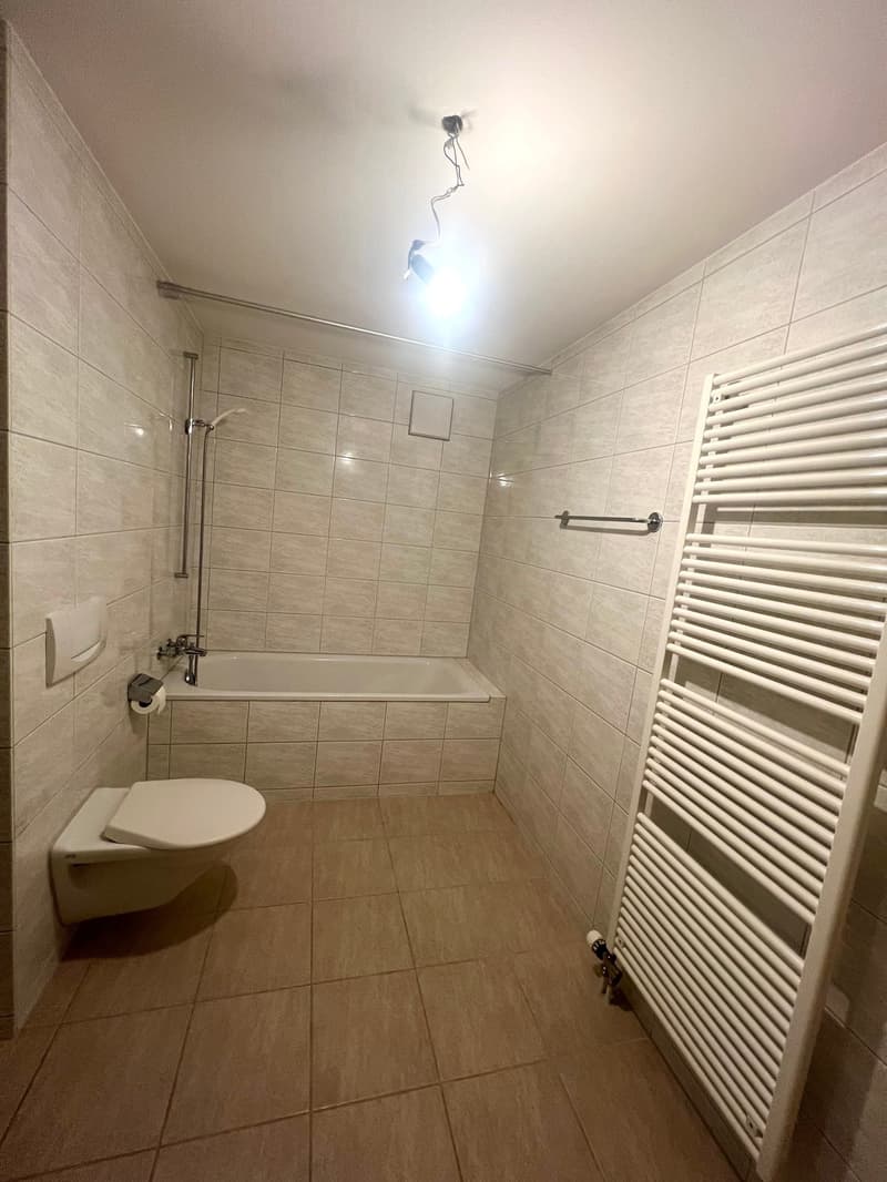 Grosszügige 4.5 Zimmerwohnung an ruhiger Lage und toller Aussicht (14)