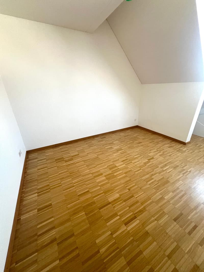 Grosszügige 4.5 Zimmerwohnung an ruhiger Lage und toller Aussicht (8)