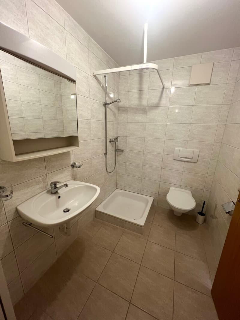 Grosszügige 4.5 Zimmerwohnung an ruhiger Lage und toller Aussicht (25)