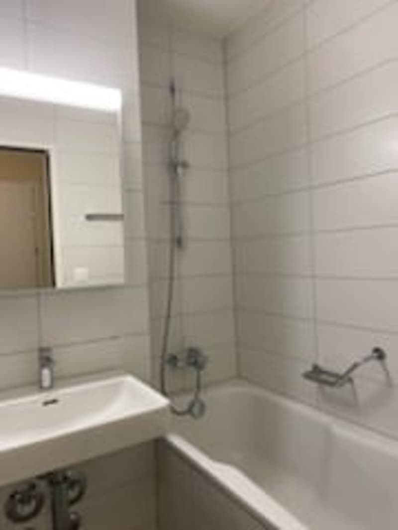 Schöne, sanierte 1.5-Zimmerwohnung an zentraler Lage (12)