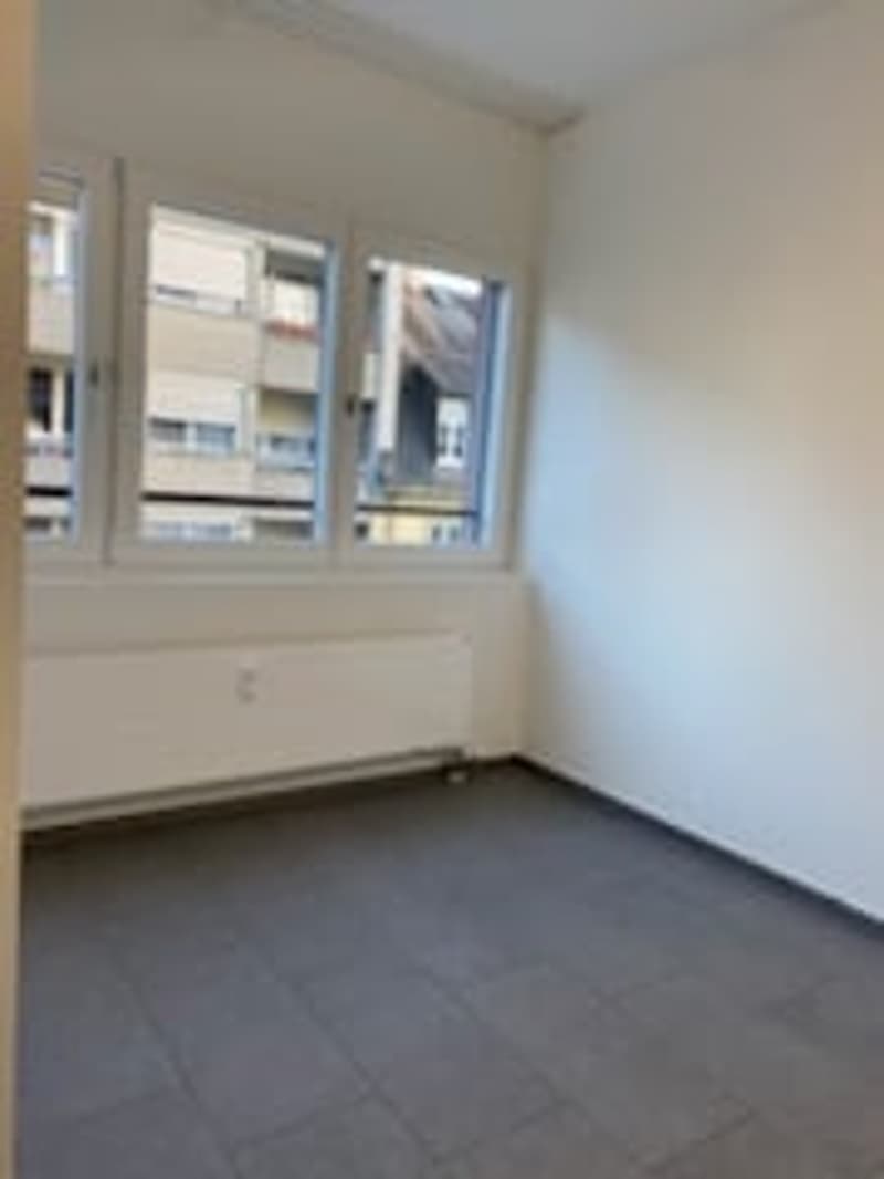 Schöne, sanierte 1.5-Zimmerwohnung an zentraler Lage (14)