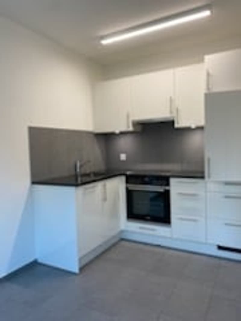 Schöne, sanierte 1.5-Zimmerwohnung an zentraler Lage (1)