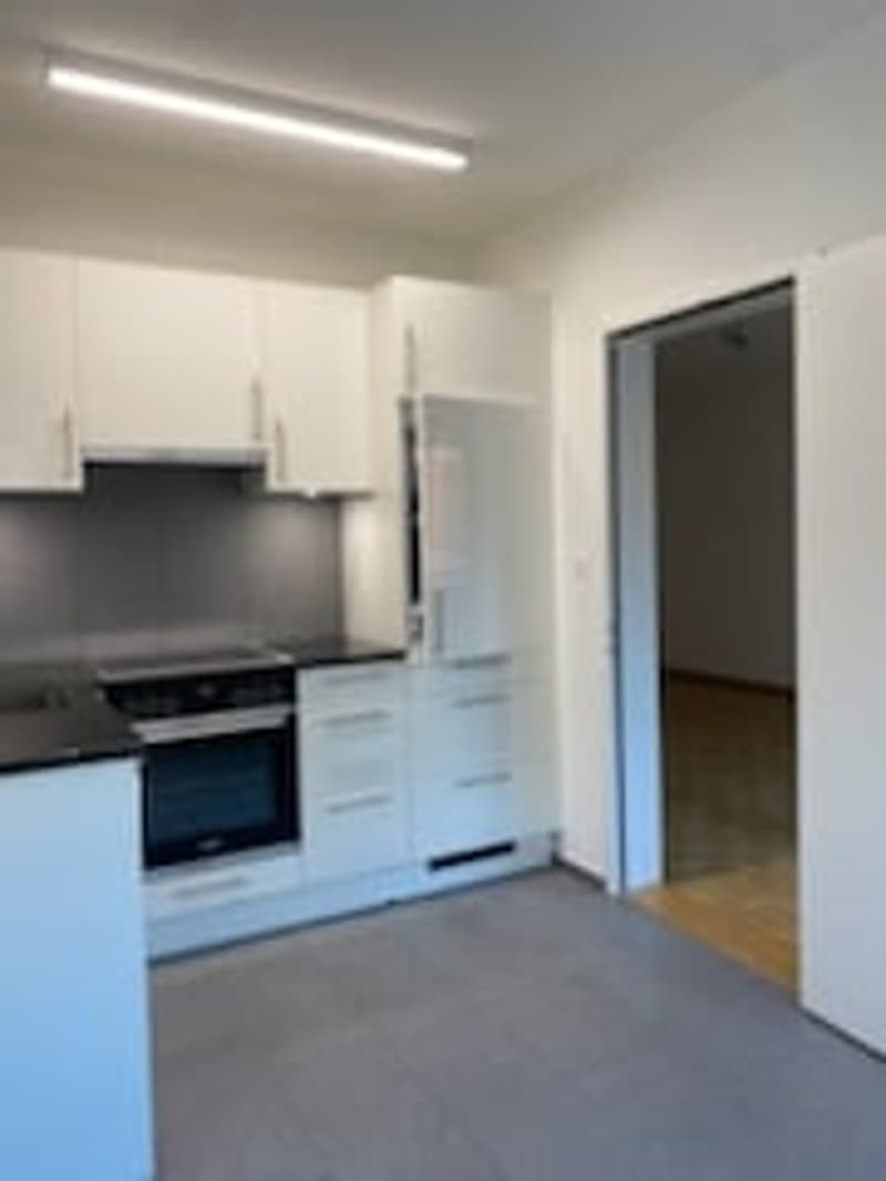 Schöne, sanierte 1.5-Zimmerwohnung an zentraler Lage (2)