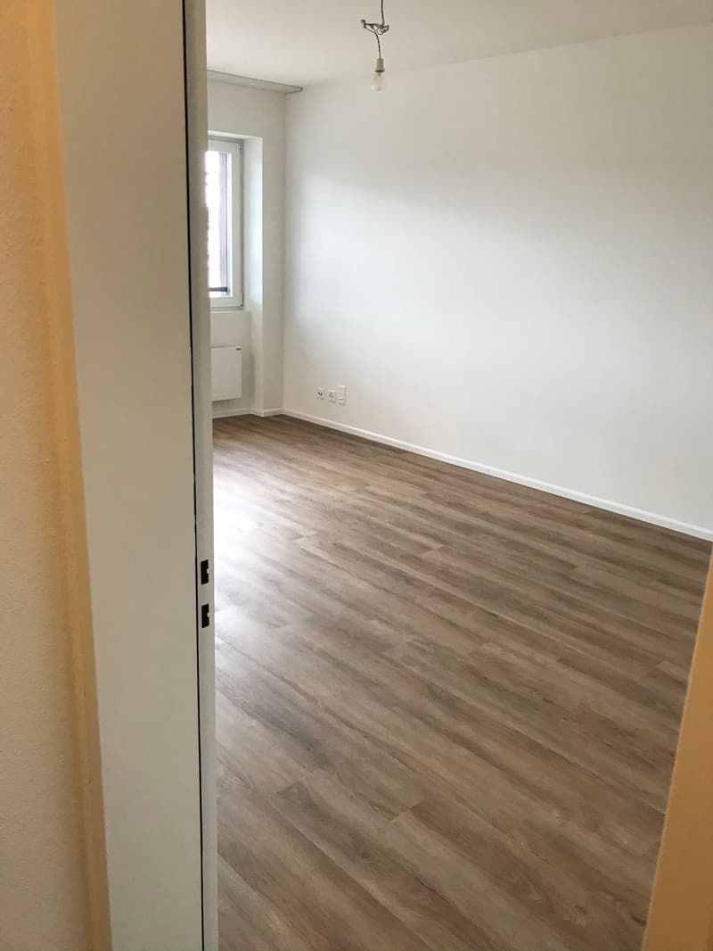Schöne, sanierte 1.5-Zimmerwohnung an zentraler Lage (10)