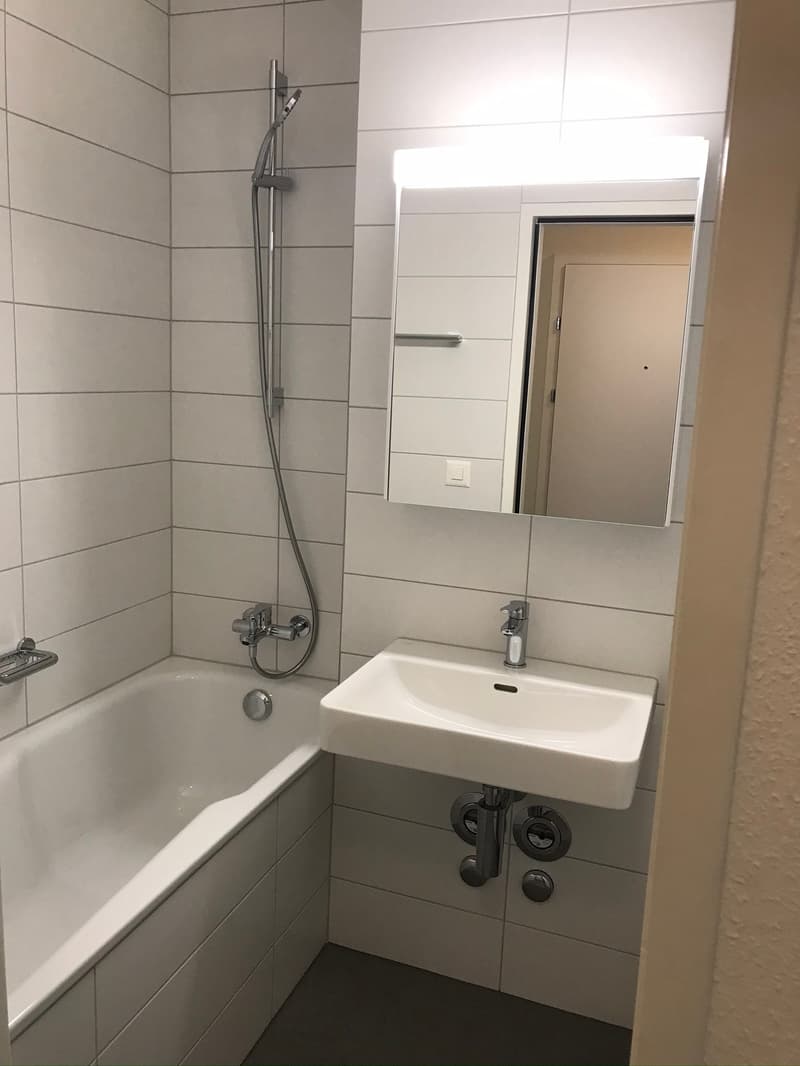 Schöne, sanierte 1.5-Zimmerwohnung an zentraler Lage (13)