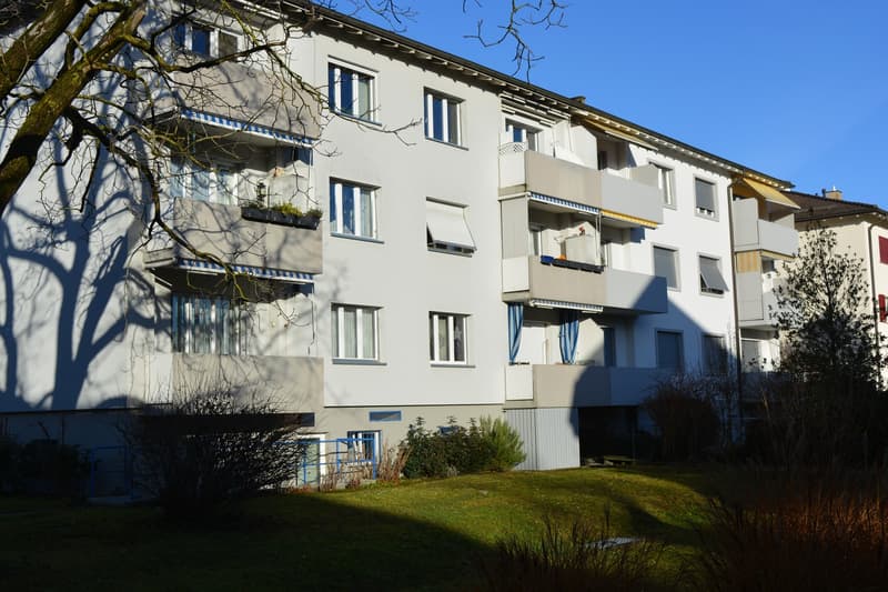 3-Bedroom Apartment for Sale in Birsfelden (2)