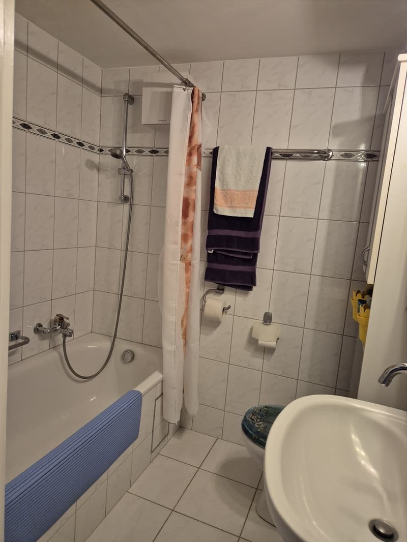 3-Bedroom Apartment for Sale in Birsfelden (4)