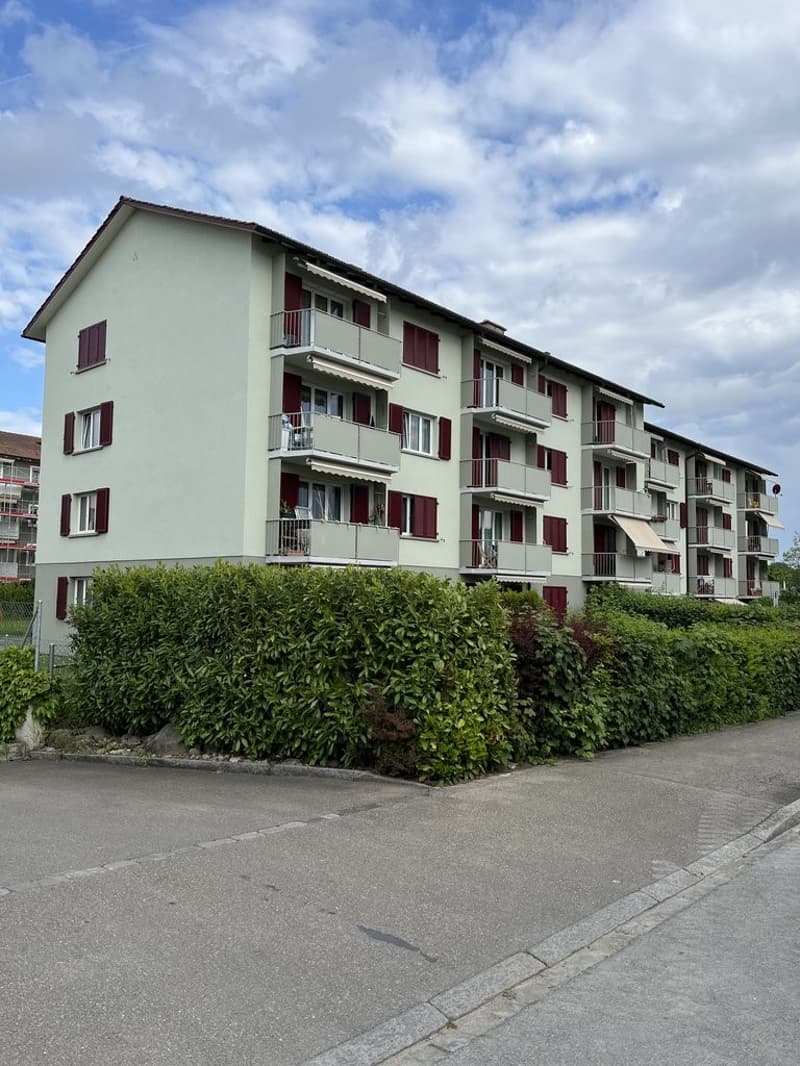 Regensdorf_Inserat.jpeg