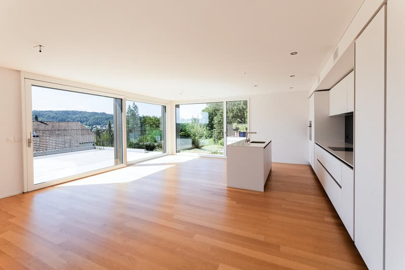 Casa unifamiliare moderna di 5,5 locali con vista panoramica e standard Minergie-P a Walterswil (4)