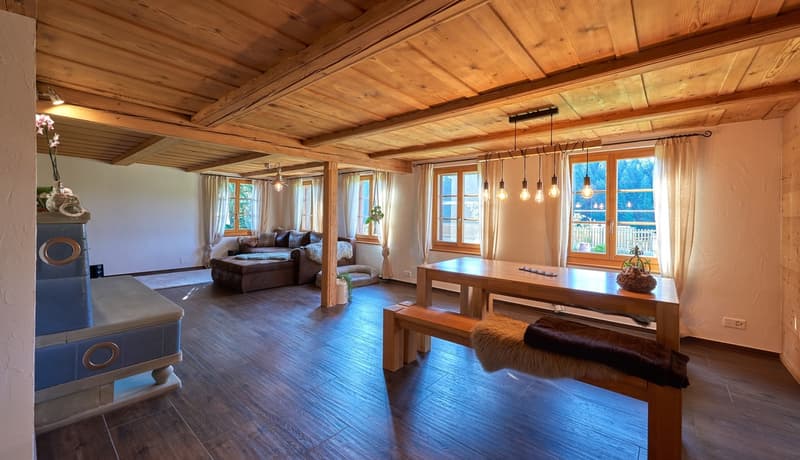 Renovated farmhouse with 3599 m2 of land (3)