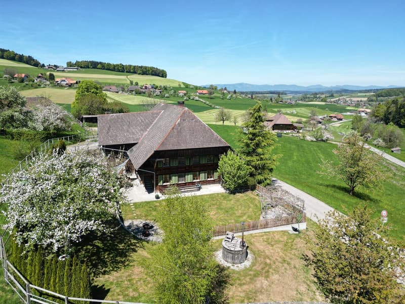 Renovated farmhouse with 3599 m2 of land (5)