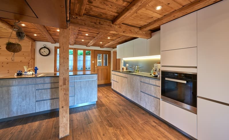 Renovated farmhouse with 3599 m2 of land (2)