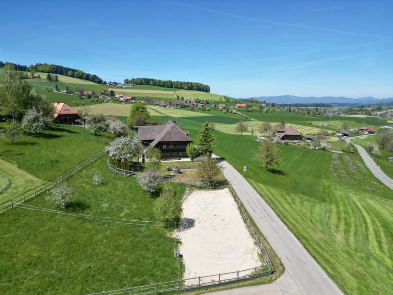 Renovated farmhouse with 3599 m2 of land (6)