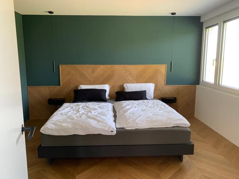 Maison unifamiliale dépendante moderne (12)