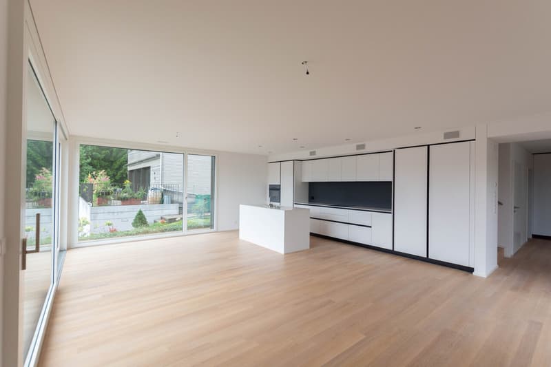 Modernes 5.5-Zimmer-Einfamilienhaus mit Weitsicht und Minergie-P-Standard in Walterswil (2)