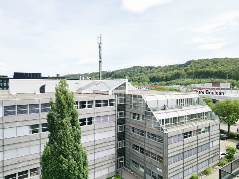 Attraktive Gewerbeliegenschaft (3)