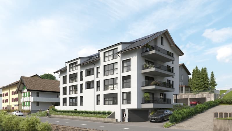 Spacious 5.5-room apartment with terrace (south) and loggia (2)
