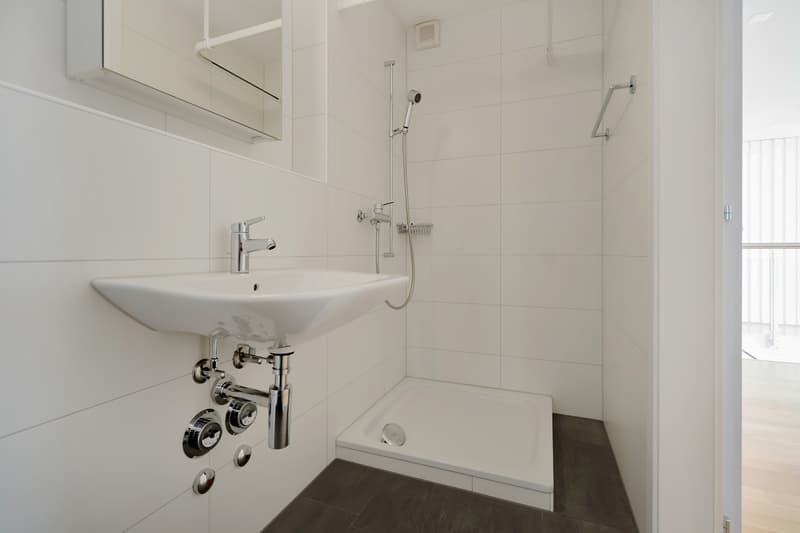Nasszelle mit Dusche, Lavabo und Toilette