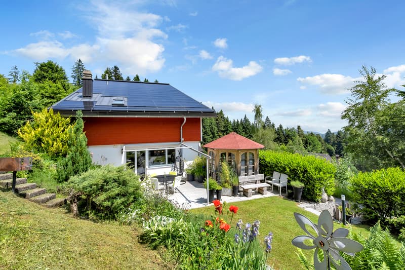 Aussenansicht Gartenbereich (Süd Ausrichtung)