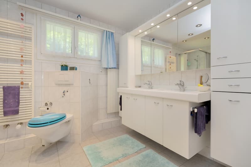 Hauptbad im OG mit Badewanne, Dusche, Lavabo und Toilette