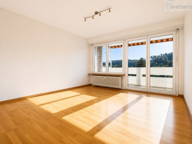 Wohnzimmer / Salon / Living Room / Soggiorno