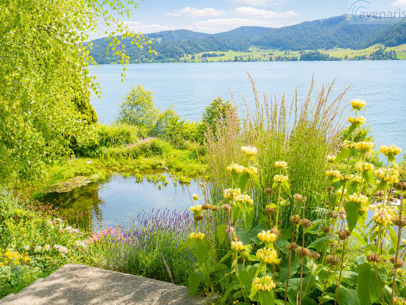 Seeblick