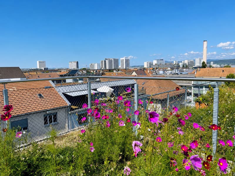 Lichtdurchflutetes Wohnen mit Dachgarten und beeindruckendem Weitblick (1)