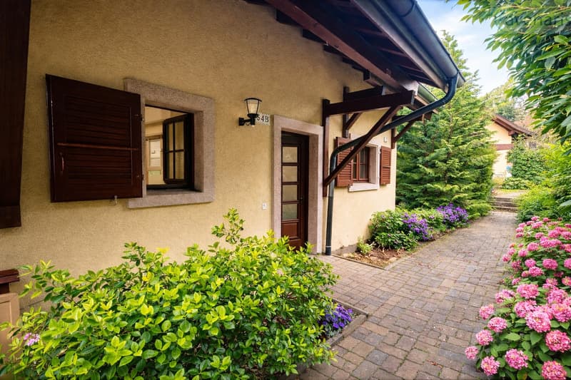 Hauseingang / Entrée de la maison / House entrance / Ingresso della casa