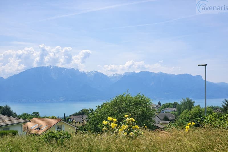 Aussicht / Vue / View / Panorama