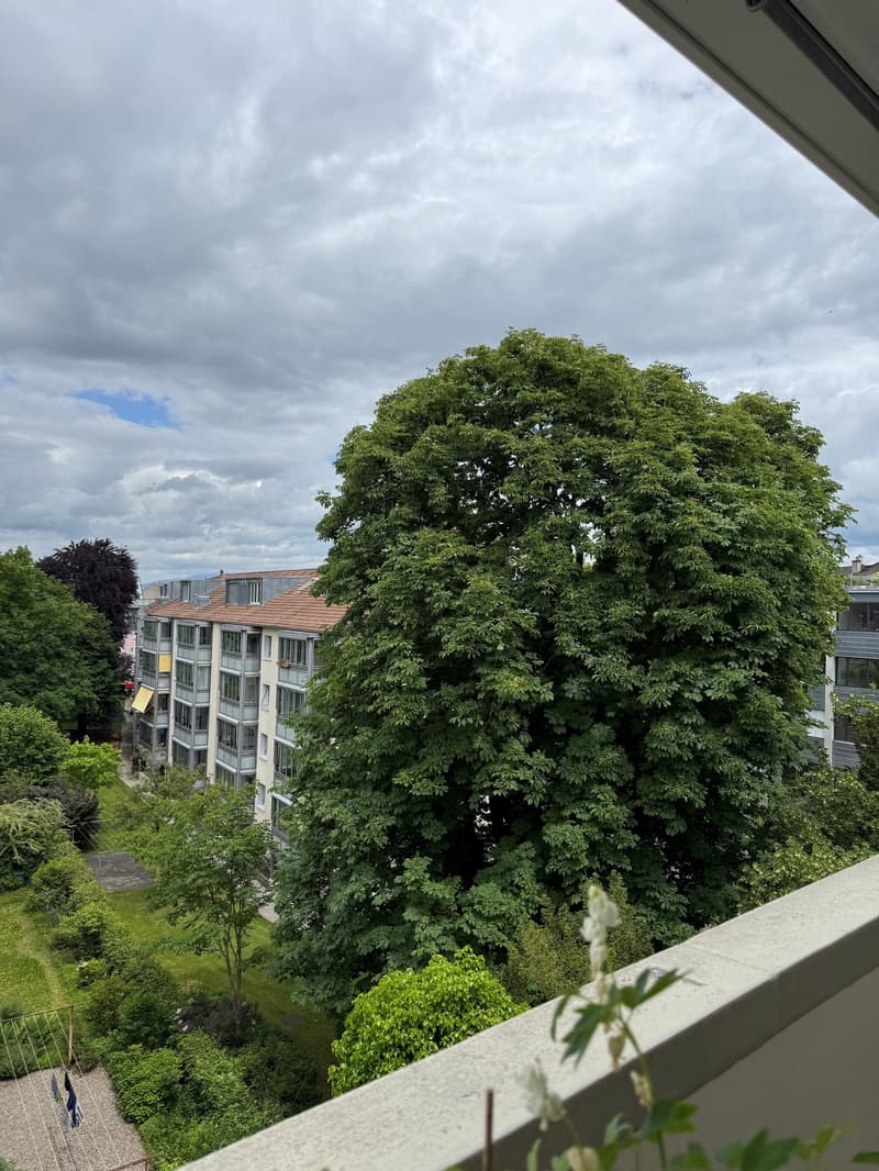 Aussicht