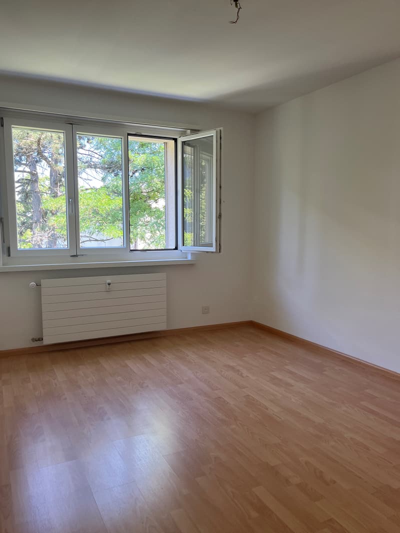 Zimmer
