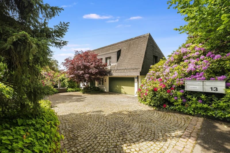 Exclusive 9-room single-family house with wellness area, double garage, and breathtaking views (1)