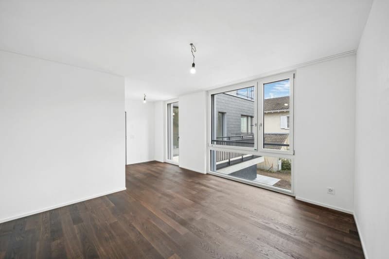 Edificio nuovo: appartamento-mansarda di 5 1/2 locali con giardino in una posizione preferita ad Arlesheim (9)