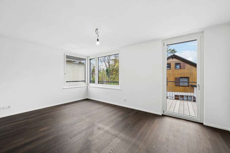 Edificio nuovo: appartamento-mansarda di 5 1/2 locali con giardino in una posizione preferita ad Arlesheim (11)