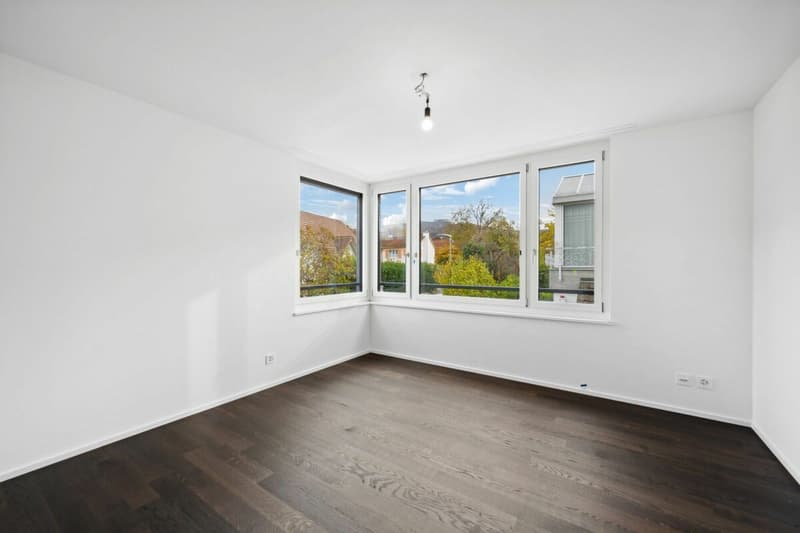 Edificio nuovo: appartamento-mansarda di 5 1/2 locali con giardino in una posizione preferita ad Arlesheim (12)