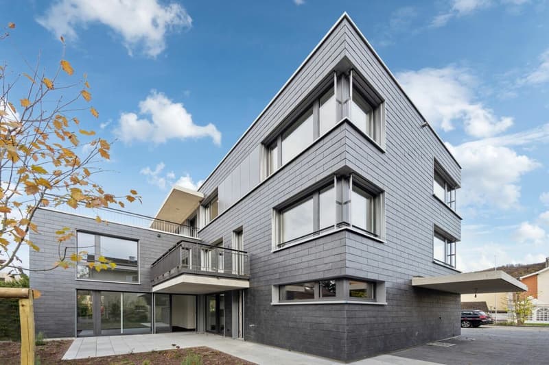 Edificio nuovo: appartamento-mansarda di 5 1/2 locali con giardino in una posizione preferita ad Arlesheim (1)