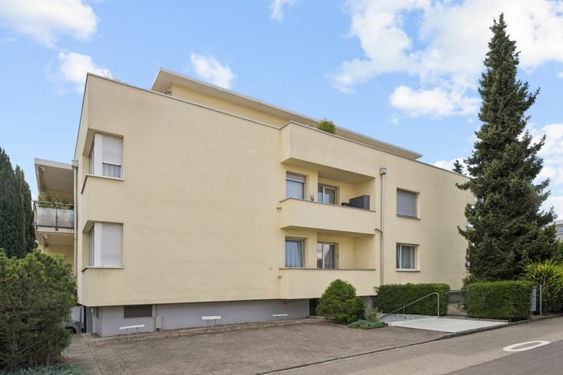 Moderne 4 1/2-Zimmer-Attika-Wohnung mit 85 m2 Terrasse und Garage in ruhiger Zentrumsnähe (3)