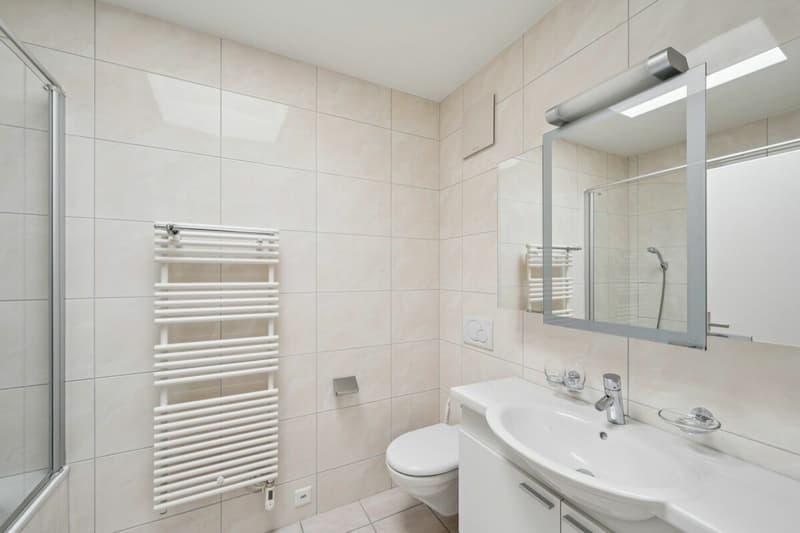 Moderne 4 1/2-Zimmer-Attika-Wohnung mit 85 m2 Terrasse und Garage in ruhiger Zentrumsnähe (8)
