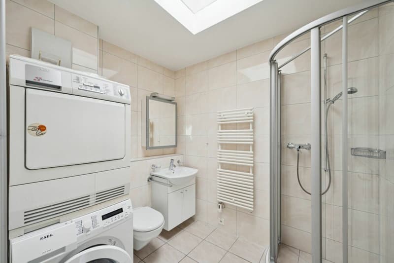 Moderne 4 1/2-Zimmer-Attika-Wohnung mit 85 m2 Terrasse und Garage in ruhiger Zentrumsnähe (6)