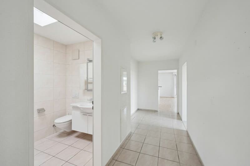 Moderne 4 1/2-Zimmer-Attika-Wohnung mit 85 m2 Terrasse und Garage in ruhiger Zentrumsnähe (5)