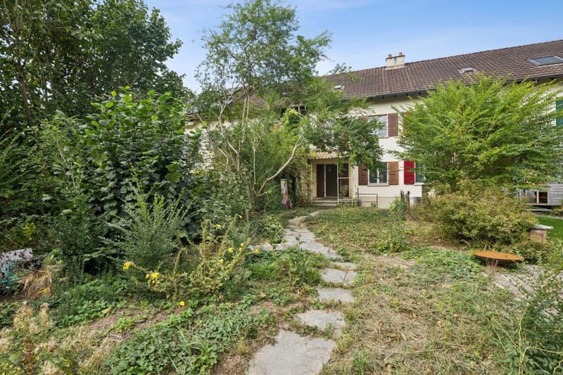 5.5-Zimmer-Reiheneinfamilienhaus mit grossem Garten und bestehender Baubewilligung in Riehen (2)