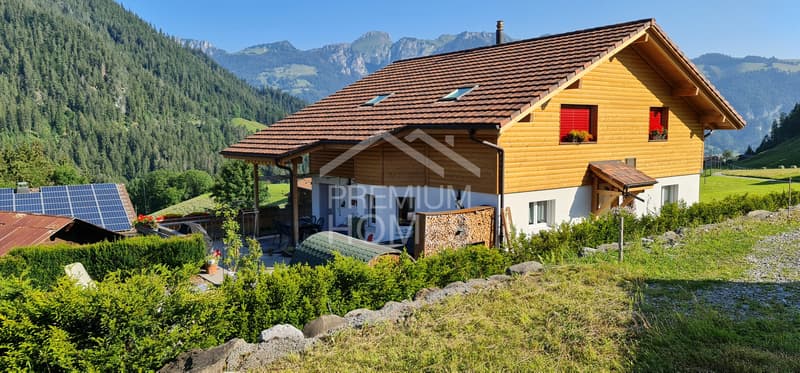 Geräumiges Familienhaus mit spektakulärer Aussicht in Horboden (1)